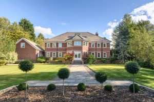 Photo 2- click for photo gallery